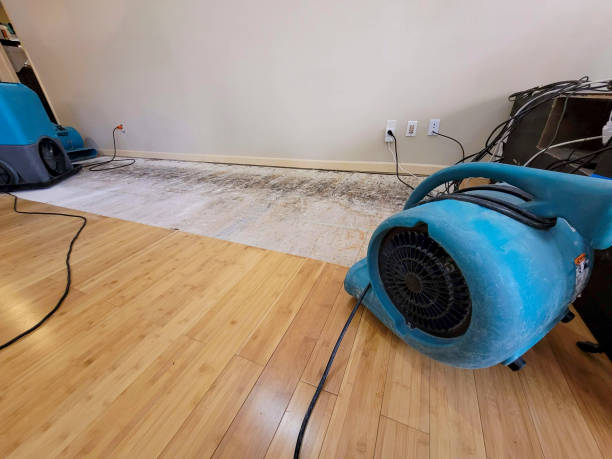 Professional Flood Damage Cleanup technician working in Dammeron Valley, UT